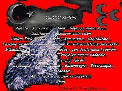 bozkurt 