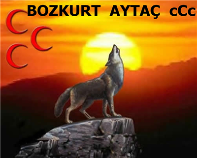 bozkurt 