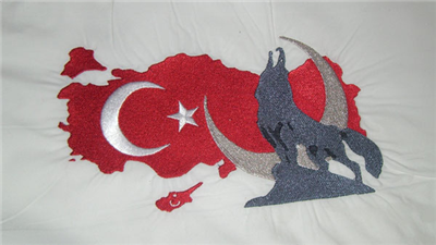 bozkurt 