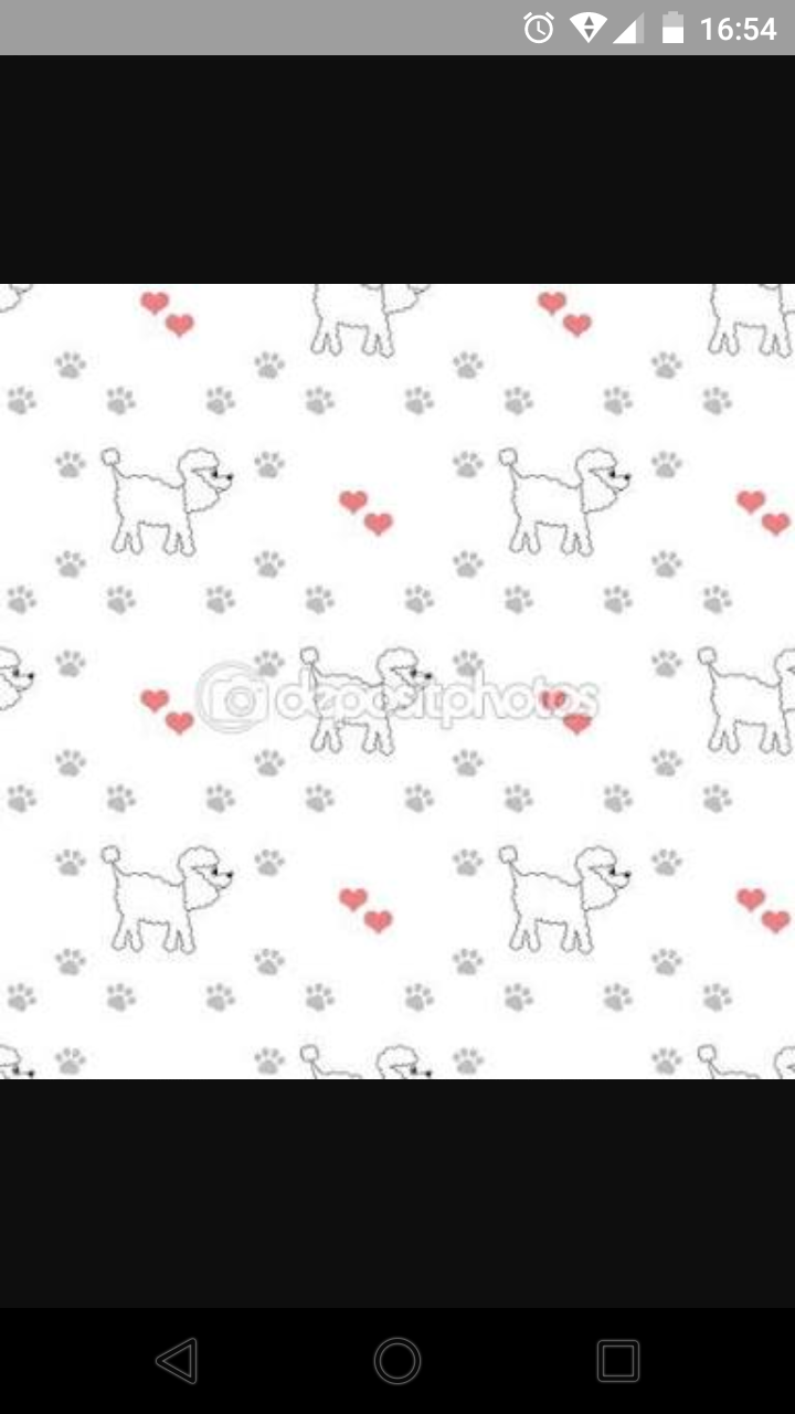 Hangi Köpek Cinsini Alcanı Biliy