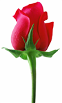 Give A Generous Gift