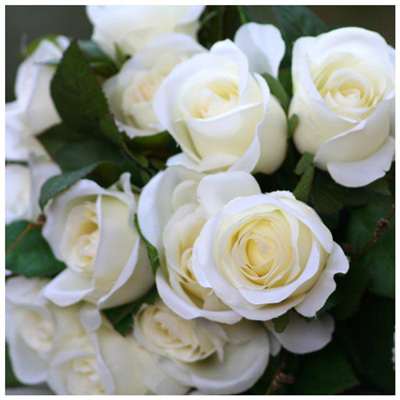 ¯`*•.¸★♥♥ G░Ü░N░A░Y░D░I░N░♥♥★¸.•*´¯)(¯`*•.¸★♥♥░M░U░T░L░U░♥░S░A░B░A░H░L░A░R░♥♥★¸.•* ☼ Günaydın diyerek başLayan bu güzeL güne♥ 