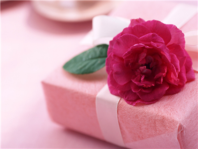 lovers gift
