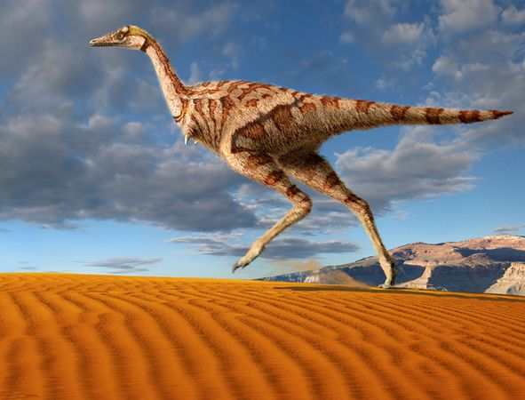 Test De Cuanto Conoces Un Dino