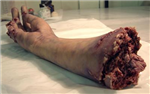 Body Parts!!!!!!!!!!!