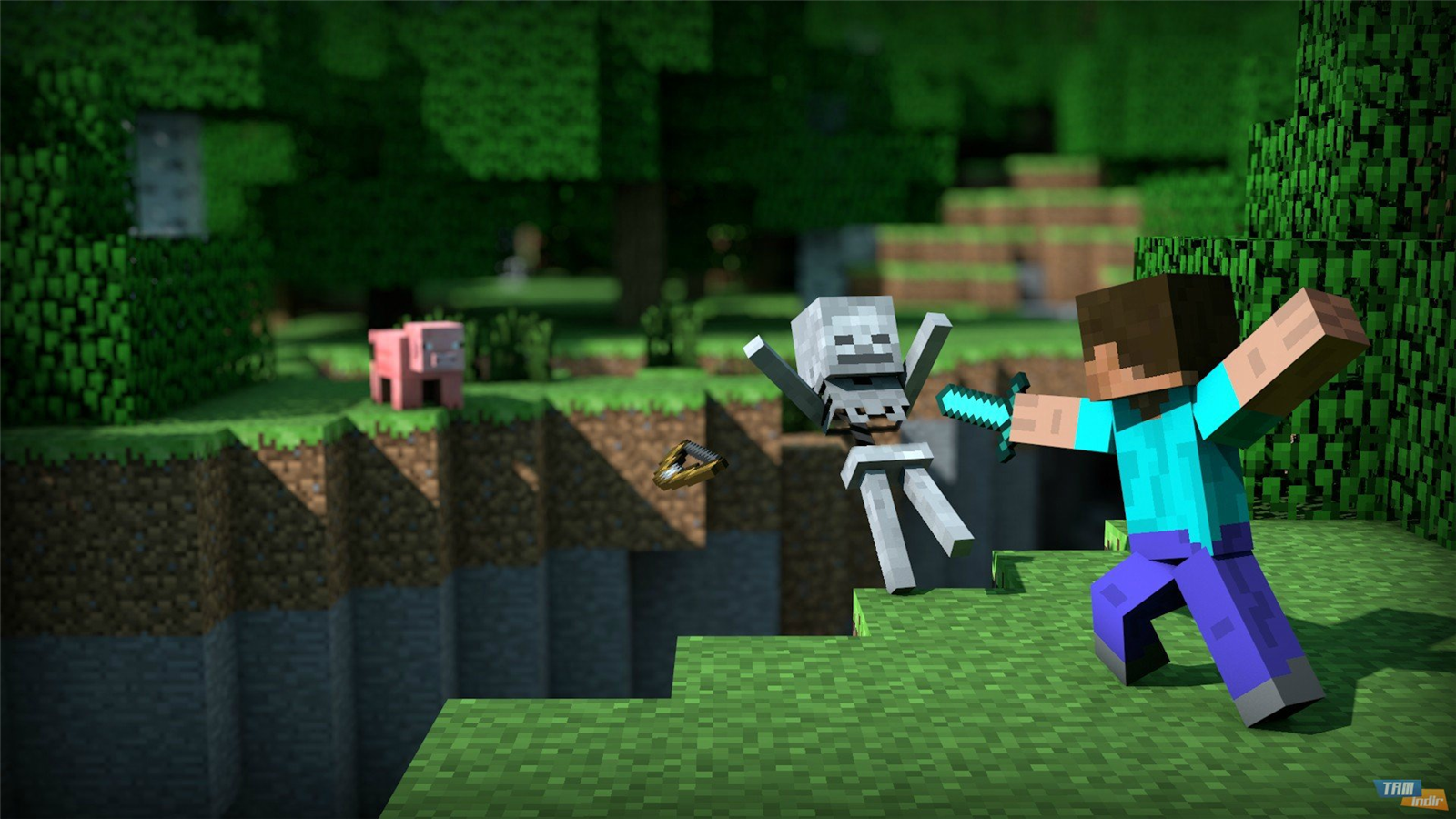 Minecraftı Ne Kadar Seviyrsun ?