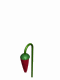 Positive Affirmations and Photos