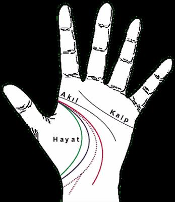 Hayata Bağlı Mısınız?