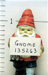 Garden Gnome Delivery Service