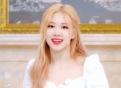 Hangi Blackpink kizisin?