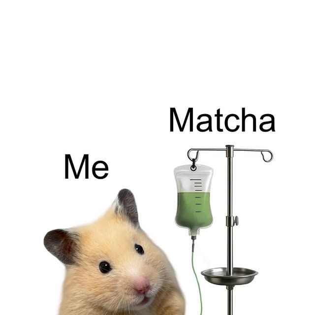 Seberapa anda menyukai matcha🍵? 