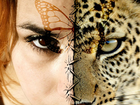 Quelle Animeaux Te Designe ??