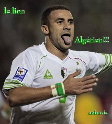 Oui Ou Non