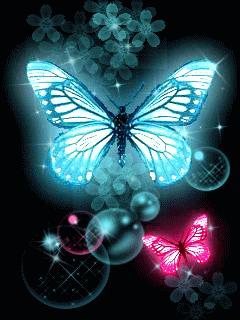butterfly