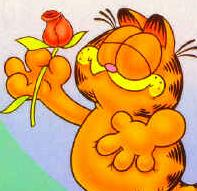 Kucing
