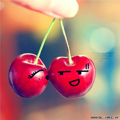 Z|W يحبــك