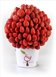 Fruit And Chocolate