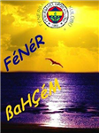 Fenerbahçem