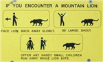 Lmao Signs