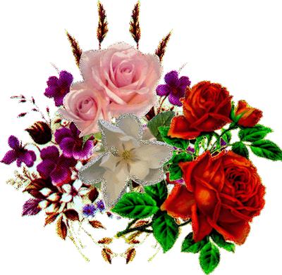 Special Designed