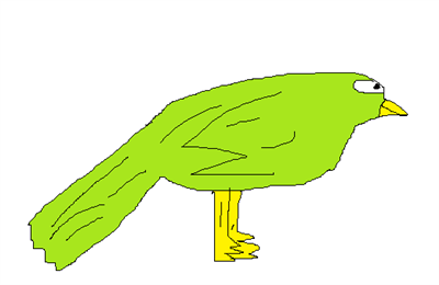 Pássaro verde