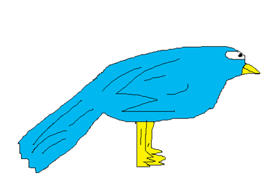 Pássaro azul