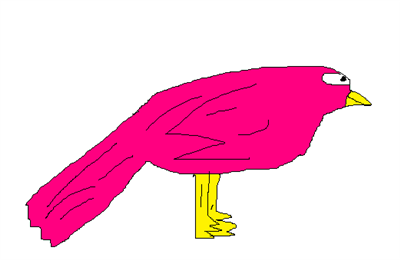 Pássaro pink