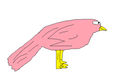 Pássaro rosa