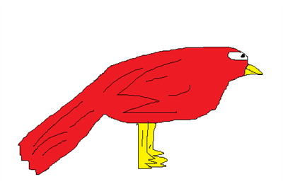 Pássaro vermelho