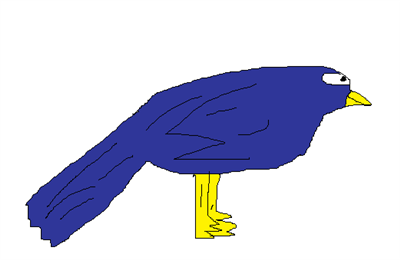 Pássaro azul escuro