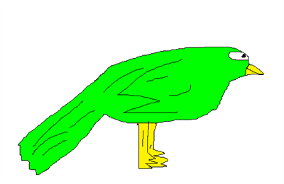 Pássaro verde exótico