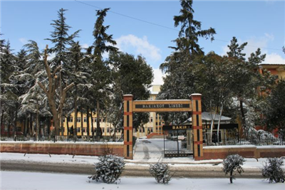 Bakırköy Lisesi 