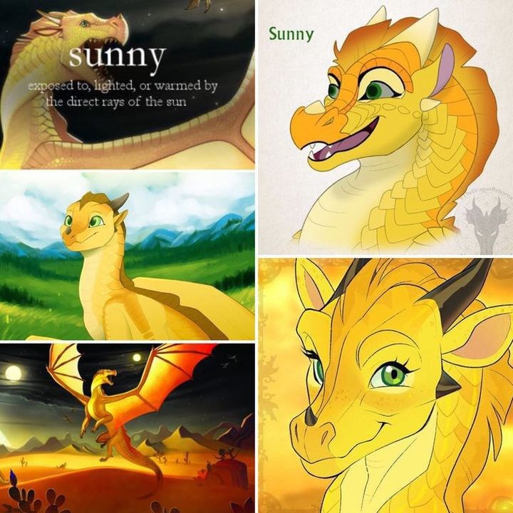 Sunny 