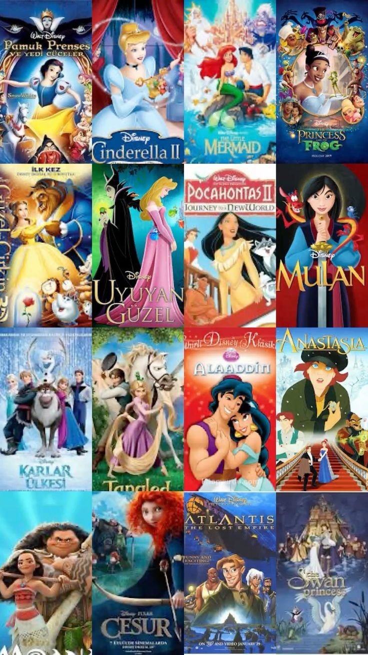 Hangi çizgi flim prensesisin