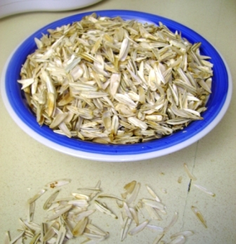 Bir Tabak Çekirdek
