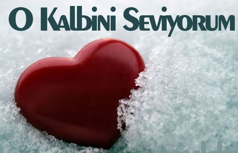 Seni Seviyo Mu