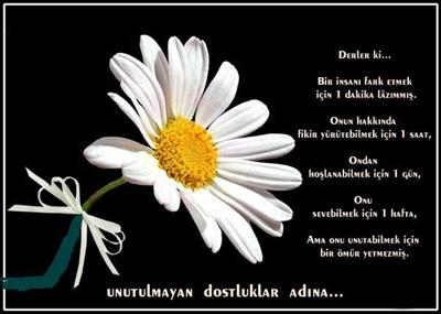 Sen Gerçekte Nesin 