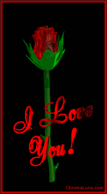 I like You!!!