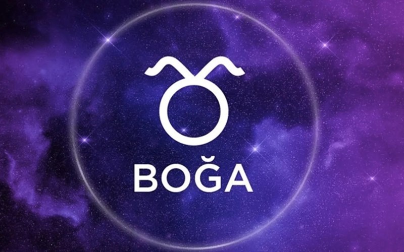 Boğa