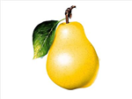 Arrmağann