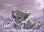 Cute Animal Gifts