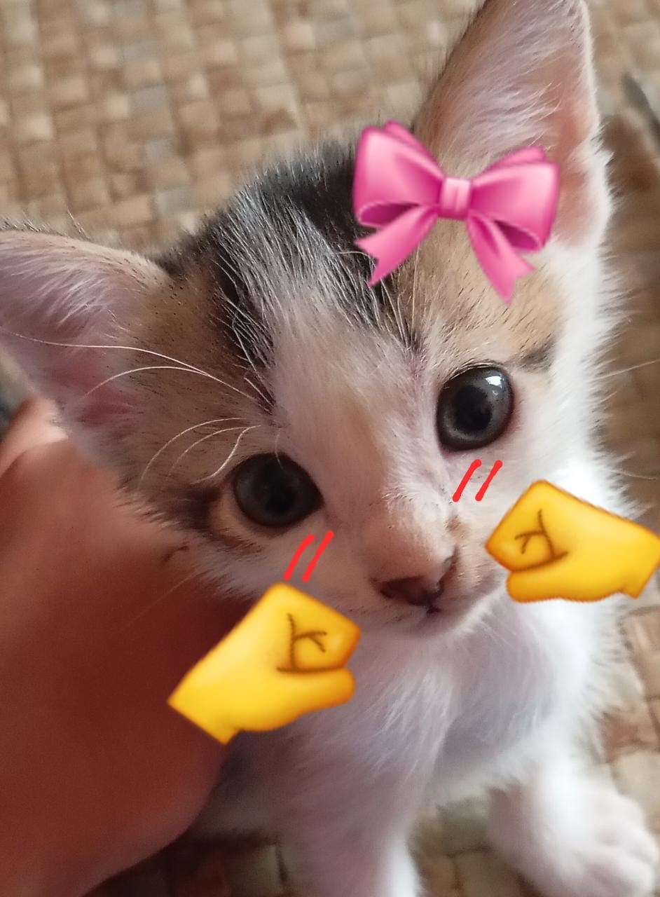 CIRI CIRI KAMU DISUKAIN CRUSH MU!