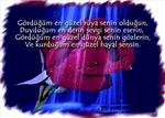 Esad Emin