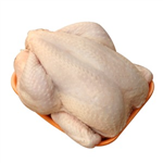 Piliç