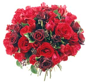Envoyer Une Fleur 
