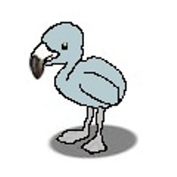Dodo Bird
