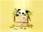Panda Gifts