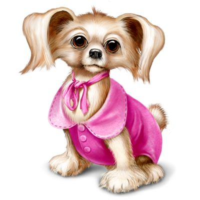 Yavru Köpek