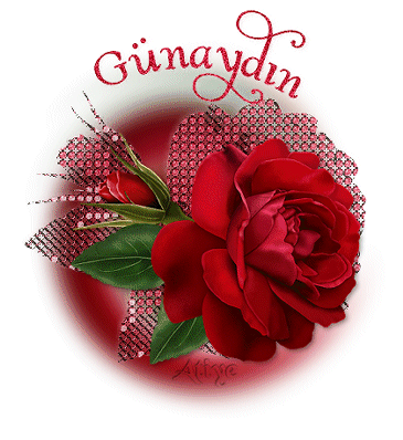 GÜNAYDIN