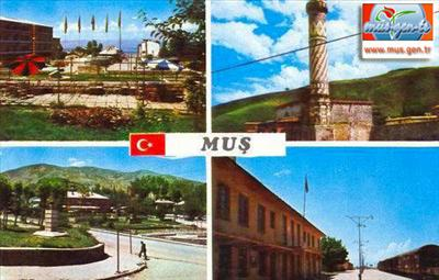 Nasıl Bir Muş'lusun?